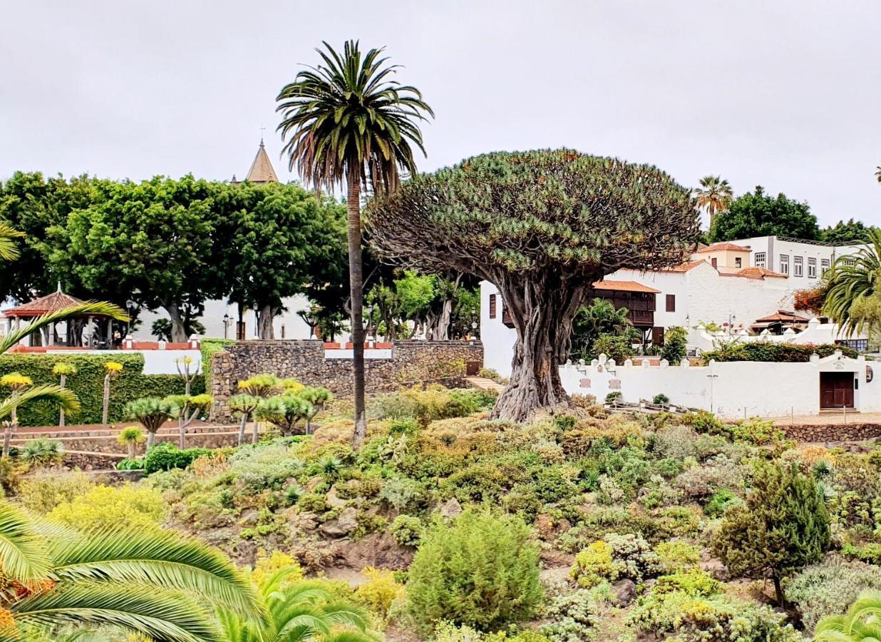 Luis Estudio Adeje Tenerife Sur By Hrtenerife Net 阿德耶 外观 照片
