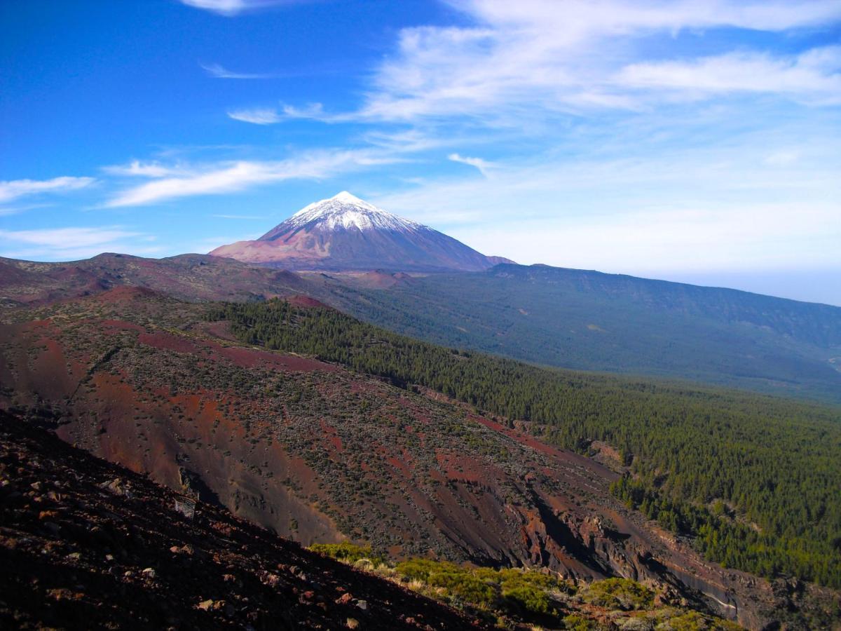 Luis Estudio Adeje Tenerife Sur By Hrtenerife Net 阿德耶 外观 照片