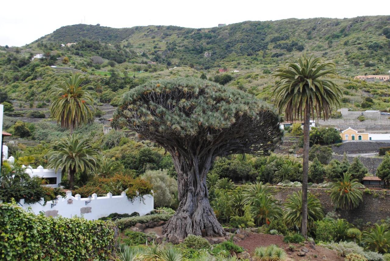 Luis Estudio Adeje Tenerife Sur By Hrtenerife Net 阿德耶 外观 照片
